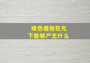 绿色植物在光下能够产生什么