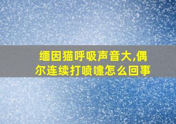 缅因猫呼吸声音大,偶尔连续打喷嚏怎么回事