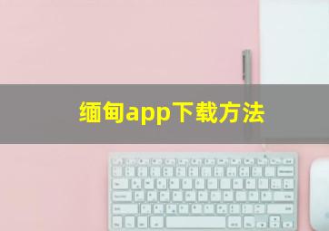 缅甸app下载方法