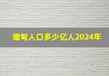 缅甸人口多少亿人2024年