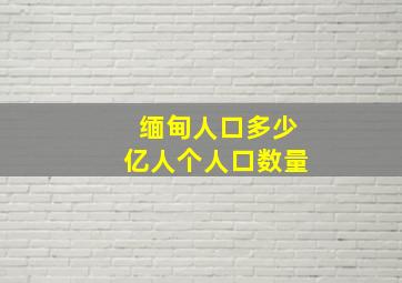 缅甸人口多少亿人个人口数量