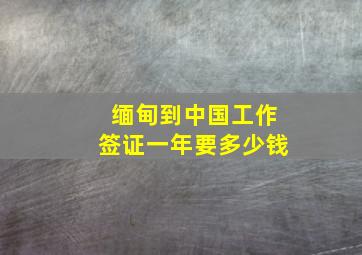 缅甸到中国工作签证一年要多少钱