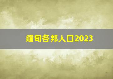 缅甸各邦人口2023