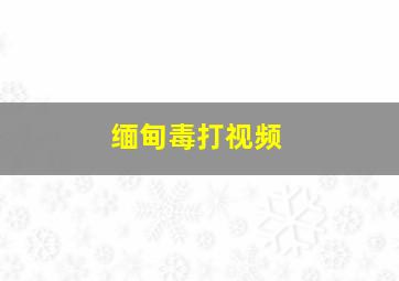 缅甸毒打视频