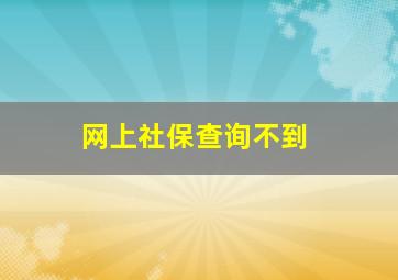 网上社保查询不到