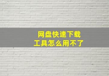 网盘快速下载工具怎么用不了