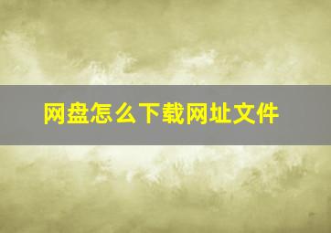 网盘怎么下载网址文件