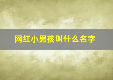 网红小男孩叫什么名字