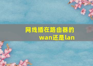 网线插在路由器的wan还是lan