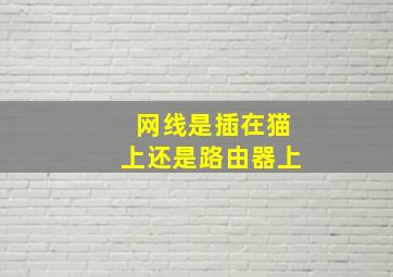 网线是插在猫上还是路由器上