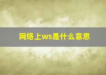 网络上ws是什么意思