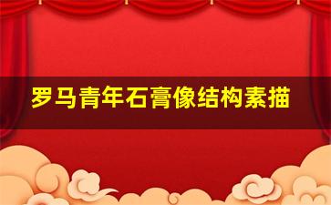 罗马青年石膏像结构素描