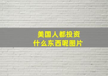 美国人都投资什么东西呢图片