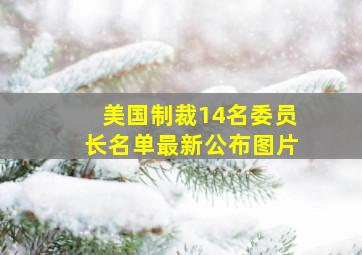 美国制裁14名委员长名单最新公布图片