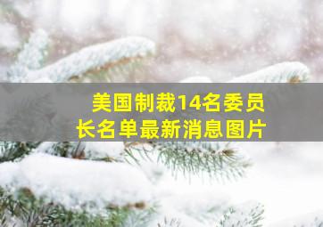 美国制裁14名委员长名单最新消息图片