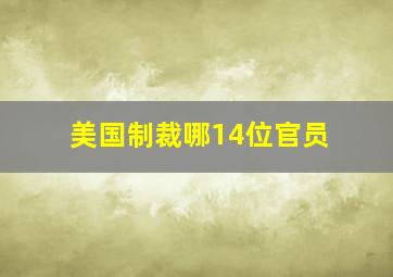 美国制裁哪14位官员