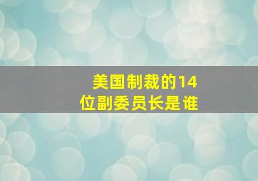 美国制裁的14位副委员长是谁