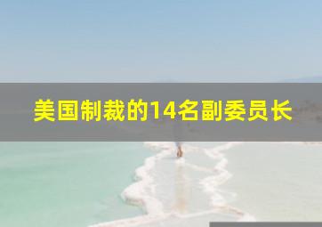 美国制裁的14名副委员长