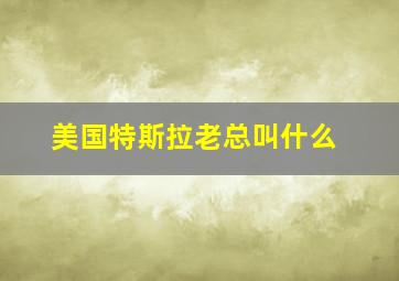 美国特斯拉老总叫什么