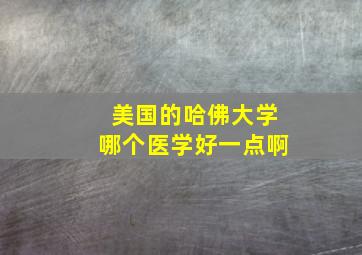 美国的哈佛大学哪个医学好一点啊