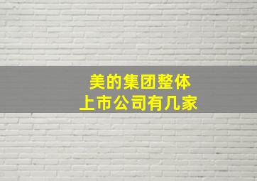 美的集团整体上市公司有几家