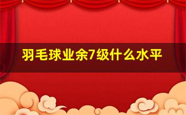 羽毛球业余7级什么水平