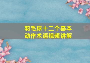 羽毛球十二个基本动作术语视频讲解