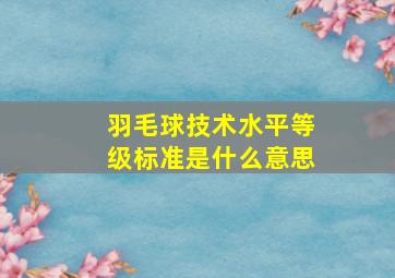 羽毛球技术水平等级标准是什么意思