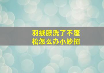 羽绒服洗了不蓬松怎么办小妙招