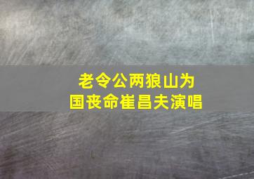 老令公两狼山为国丧命崔昌夫演唱