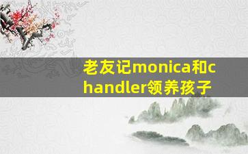 老友记monica和chandler领养孩子