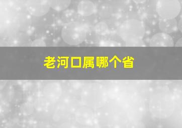 老河口属哪个省