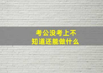 考公没考上不知道还能做什么