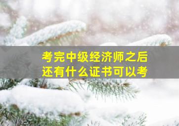 考完中级经济师之后还有什么证书可以考