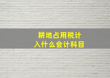 耕地占用税计入什么会计科目