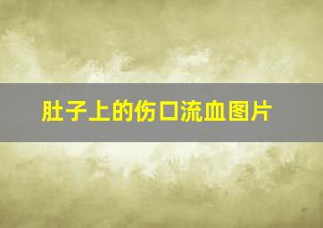 肚子上的伤口流血图片