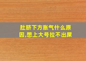 肚脐下方胀气什么原因,想上大号拉不出屎