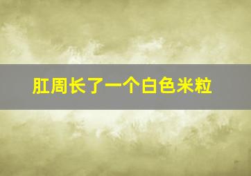 肛周长了一个白色米粒