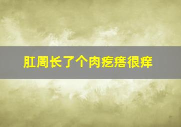 肛周长了个肉疙瘩很痒