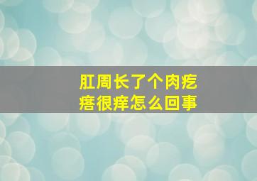 肛周长了个肉疙瘩很痒怎么回事