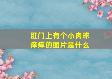 肛门上有个小肉球痒痒的图片是什么