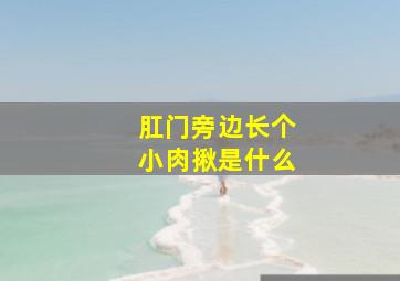 肛门旁边长个小肉揪是什么