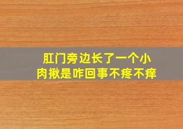 肛门旁边长了一个小肉揪是咋回事不疼不痒