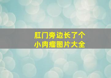 肛门旁边长了个小肉瘤图片大全