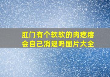 肛门有个软软的肉疙瘩会自己消退吗图片大全