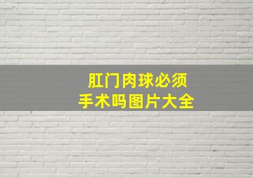 肛门肉球必须手术吗图片大全