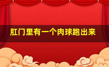 肛门里有一个肉球跑出来