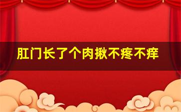 肛门长了个肉揪不疼不痒