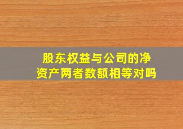 股东权益与公司的净资产两者数额相等对吗