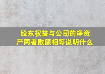 股东权益与公司的净资产两者数额相等说明什么